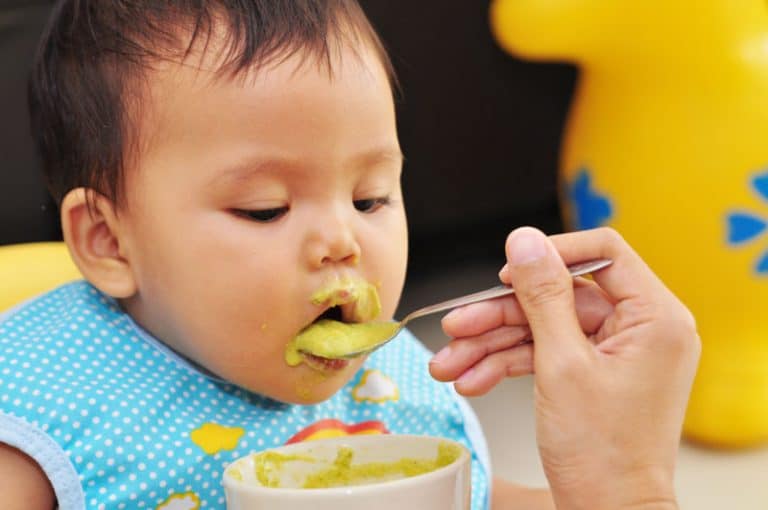Feeding A Baby Blended Food